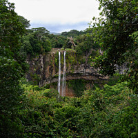 Buy canvas prints of Chamarel Waterfalls in Mauritius by Dietmar Rauscher