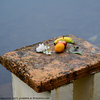 Buy canvas prints of Offering at Ganga Talao Grand Bassin Lake in Mauritius by Dietmar Rauscher