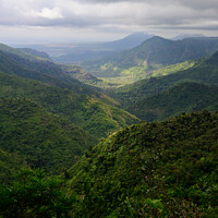 Buy canvas prints of Black River Gorge Viewpoint in Mauritius by Dietmar Rauscher