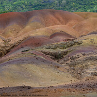 Buy canvas prints of Seven Coloured Earths in Chamarel, Mauritius by Dietmar Rauscher