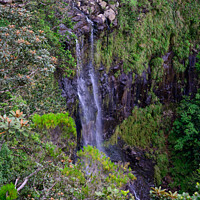 Buy canvas prints of Alexandra Falls Waterfall in Mauritius by Dietmar Rauscher