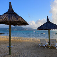 Buy canvas prints of Beach and Palm Trees on Preskil Island, Mauritius in the Morning by Dietmar Rauscher