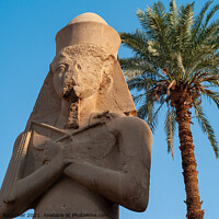 Buy canvas prints of Statue of Ramesses II at Karnak Temple by Dietmar Rauscher