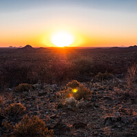 Buy canvas prints of Sunset in the Savanna in Omaruru in the Erongo Region of Namibia by Dietmar Rauscher