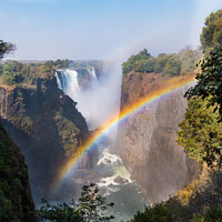 Buy canvas prints of Victoria Falls and Gorge with Rainbow by Dietmar Rauscher