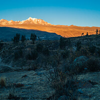 Buy canvas prints of Andes Mountain Landscape near Yanque, Colca Canyon, Peru at Dawn by Dietmar Rauscher