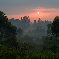 Buy canvas prints of Romantic Sunset Over a Misty Landscape with Trees in Uganda by Dietmar Rauscher