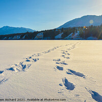Buy canvas prints of Foot prints in the snow, winter mountain landscape by Shawna and Damien Richard