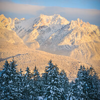 Buy canvas prints of Fairmont Range in Winter at Sunset by Shawna and Damien Richard