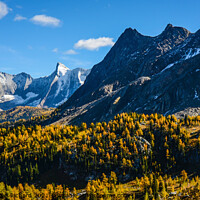 Buy canvas prints of Jumbo Pass British Columbia Canada in Fall with Larch by Shawna and Damien Richard