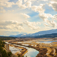 Buy canvas prints of Columbia Wetlands, British Columbia, Canada in Spring by Shawna and Damien Richard