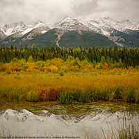 Buy canvas prints of Mitchell Mountain Range Kootenay National Park by Shawna and Damien Richard