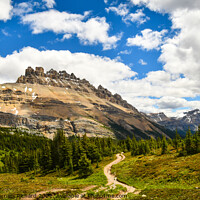 Buy canvas prints of Mountain view LDolomite Pass Banff National PArk by Shawna and Damien Richard