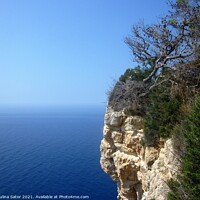 Buy canvas prints of Hanging cliff rock with a pine tree by Paulina Sator