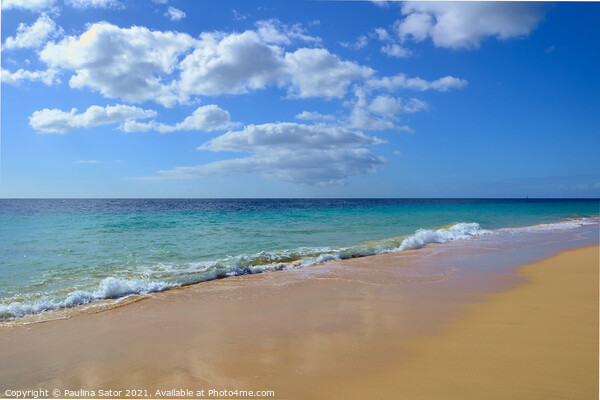 Fuerteventura beach Picture Board by Paulina Sator