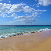 Buy canvas prints of Fuerteventura beach by Paulina Sator