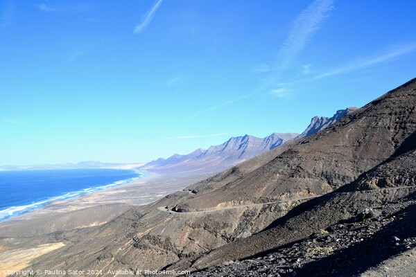 Road to the Cofete beach, Fuerteventura Picture Board by Paulina Sator