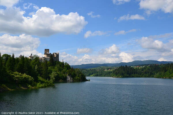 Lake Czorsztyn and castle in Niedzica. Poland Picture Board by Paulina Sator