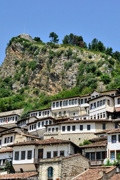 City of Berat, Albania. UNESCO World Heritage Site Picture Board by Paulina Sator