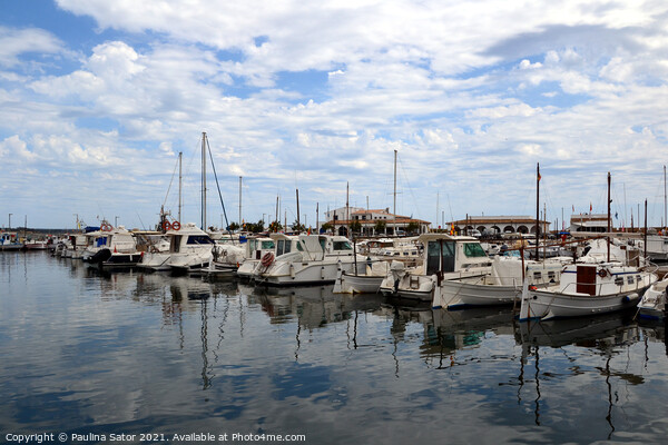 Small marina with boats Picture Board by Paulina Sator
