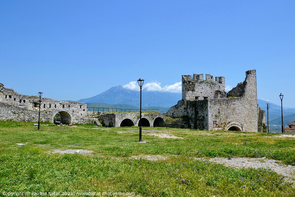 Berat Castle, Albania Picture Board by Paulina Sator