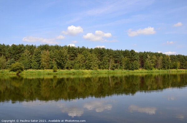 Peaceful Narew river. Poland Picture Board by Paulina Sator