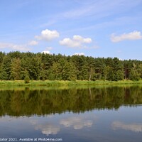 Buy canvas prints of Peaceful Narew river. Poland by Paulina Sator