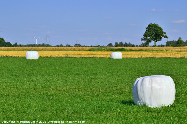 Wrapped hay bales stacked Picture Board by Paulina Sator