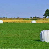 Buy canvas prints of Wrapped hay bales stacked by Paulina Sator