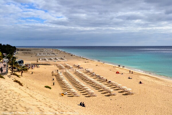 Breathtaking Playa del Matorral, Fuerteventura Picture Board by Paulina Sator