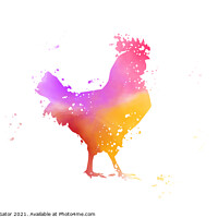 Buy canvas prints of Colorful rooster. watercolor illustration by Paulina Sator