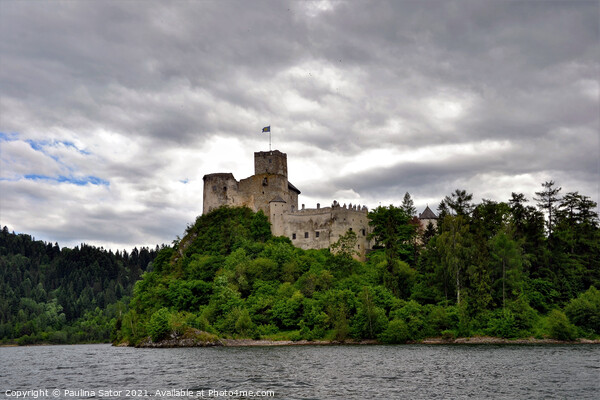 Dark clouds over medieval castle. Niedzica, Poland Picture Board by Paulina Sator