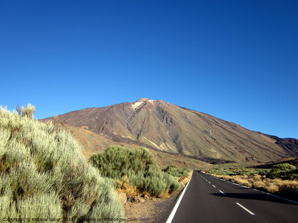El Teide volcano. National Park of Tenerife Picture Board by Paulina Sator