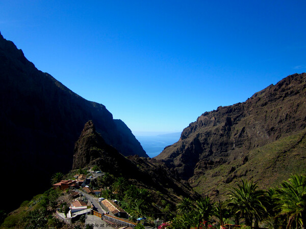 Masca Village, Tenerife Picture Board by Paulina Sator