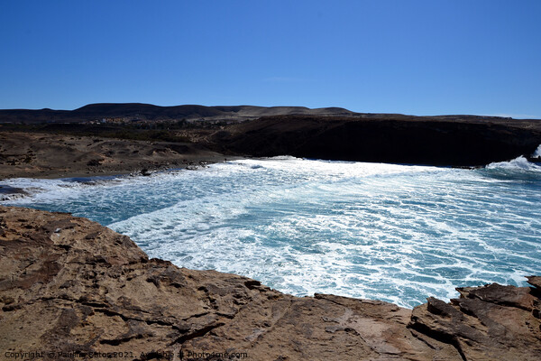 The wild coast of Playa La Pared, Fuerteventura Picture Board by Paulina Sator