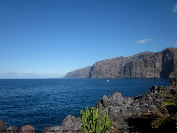 Los Gigantes cliffs, Tenerife Picture Board by Paulina Sator