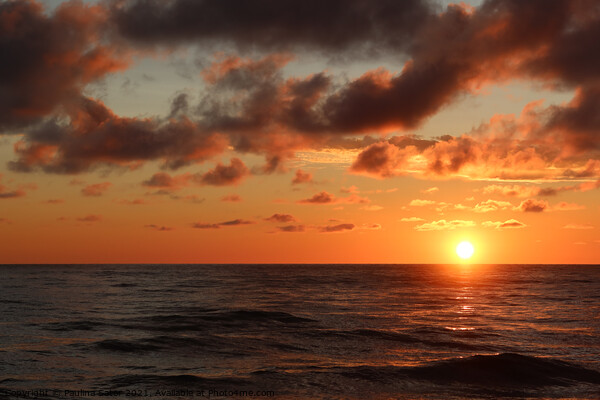 Scenic sunset over the Baltic sea Picture Board by Paulina Sator