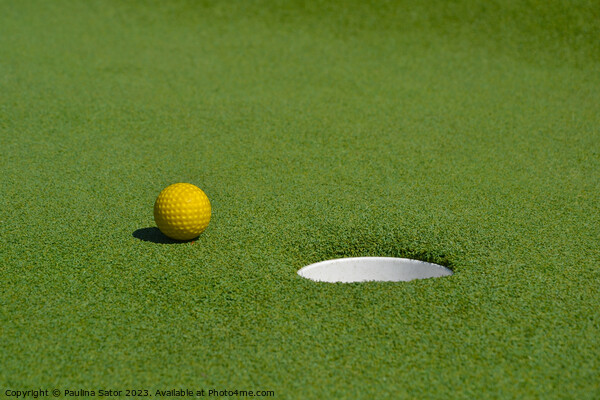 Mini golf course Picture Board by Paulina Sator