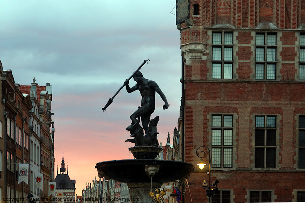 Neptune's Fountains, historic fountain in Gdansk, Poland Picture Board by Paulina Sator