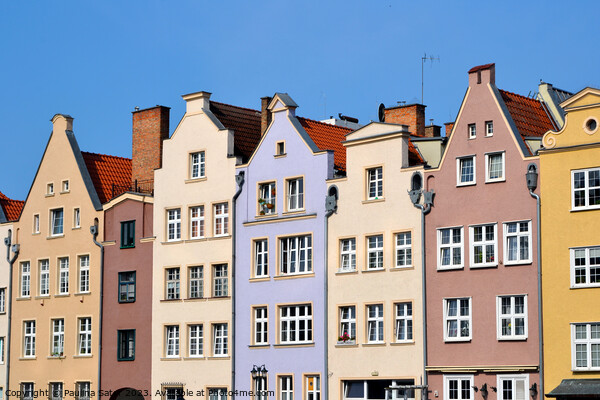 Colorful houses - Gdansk, Poland     Picture Board by Paulina Sator