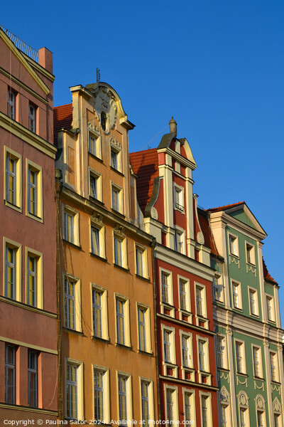 Tenement houses in Wroclaw, Poland.  Picture Board by Paulina Sator