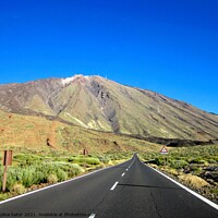 Buy canvas prints of El Teide volcano. National Park of Tenerife by Paulina Sator