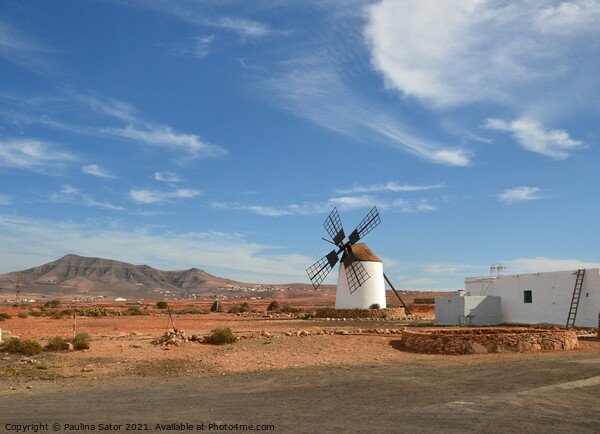 Windmill, Fuerteventura landscape Picture Board by Paulina Sator