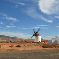 Buy canvas prints of Windmill, Fuerteventura landscape by Paulina Sator