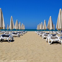 Buy canvas prints of Umbrellas and chaise lounges on the sandy beach by Paulina Sator
