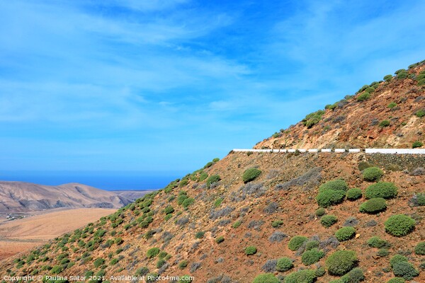 Fuerteventura mountains panorama Picture Board by Paulina Sator