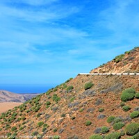 Buy canvas prints of Fuerteventura mountains panorama by Paulina Sator
