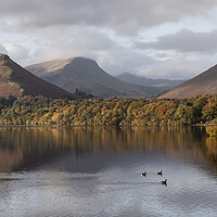Buy canvas prints of Derwentwater Keswick in Autumn the Lake District by Sonny Ryse