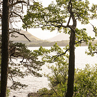 Buy canvas prints of Derwentwater lake district by Sonny Ryse