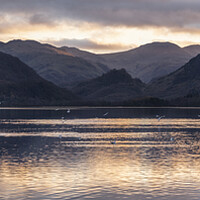 Buy canvas prints of Derwentwater sunet the lake district by Sonny Ryse